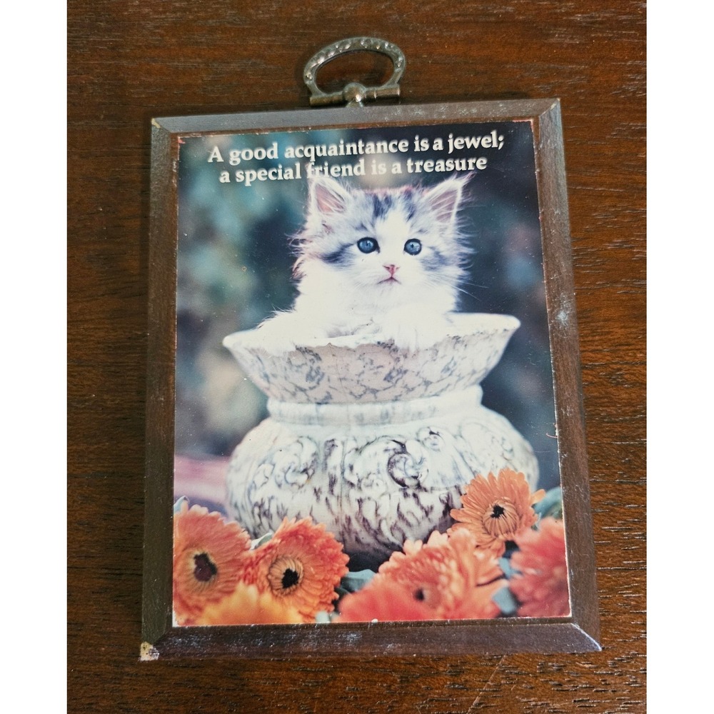 Paula Impressions Framed Photo Small Brown Kitten Friend Quote Vintage 1984